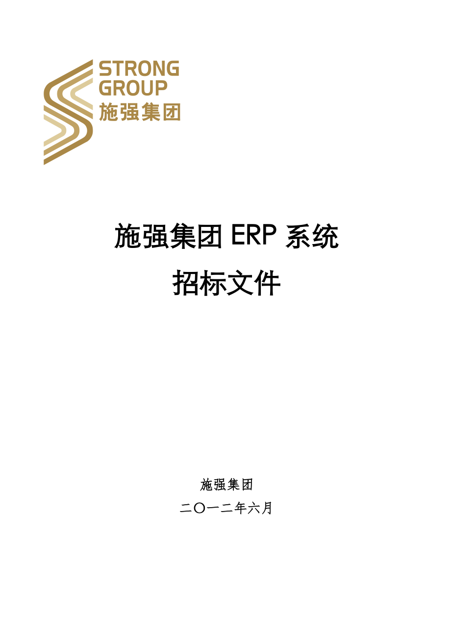 施强集团ERP系统.docx_第1页