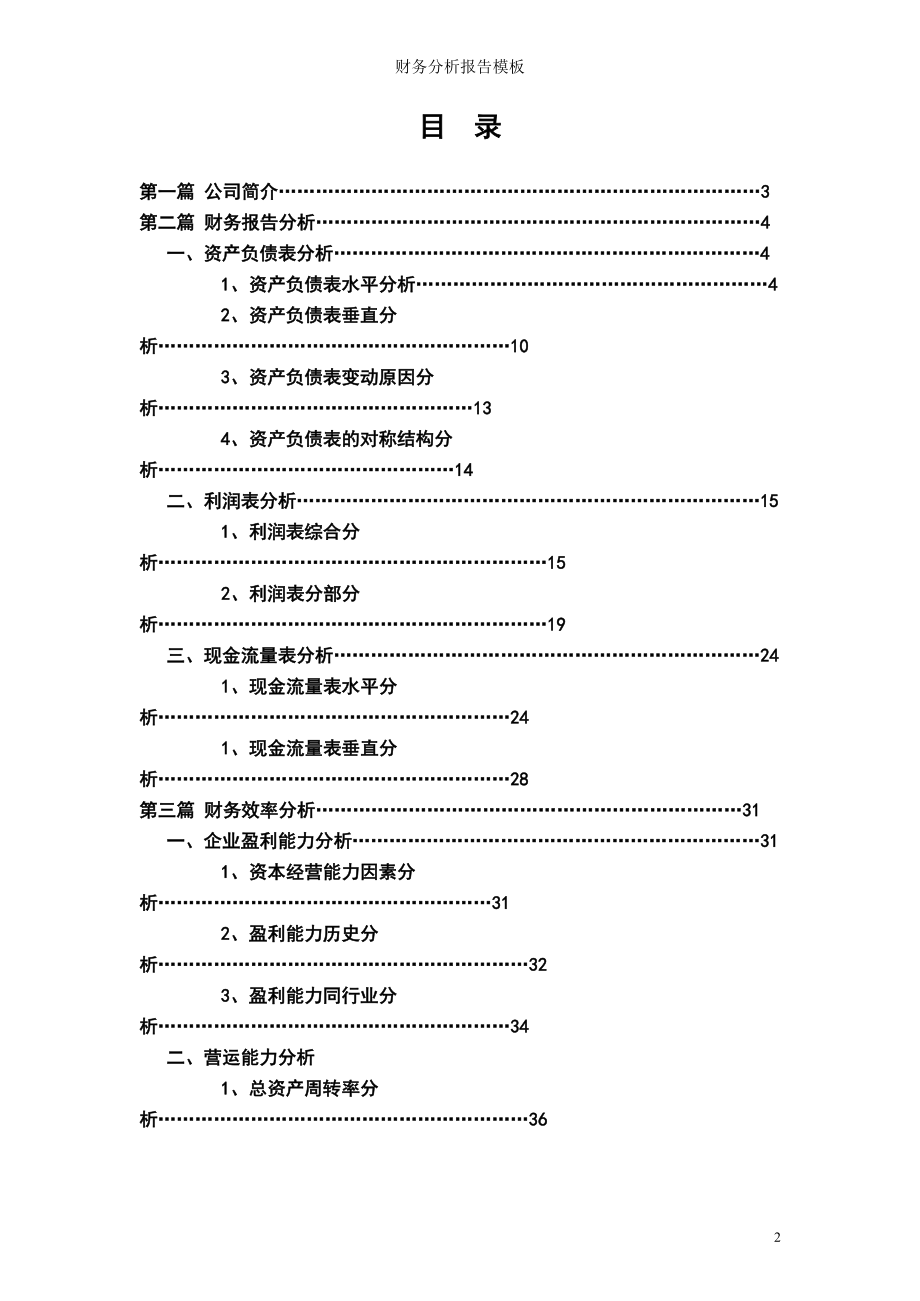 财务分析报告模板(DOC 59页).docx_第2页