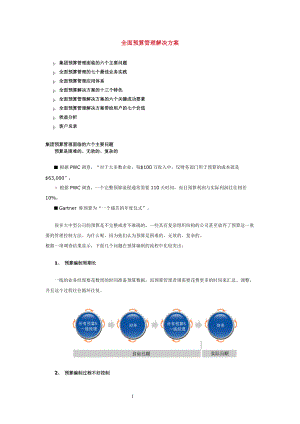 集团全面预算管理解决方案(DOC 17).docx