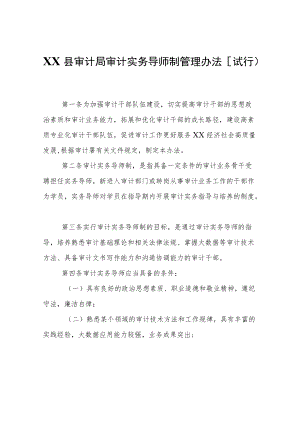 XX县审计局审计实务导师制管理办法（试行）.docx