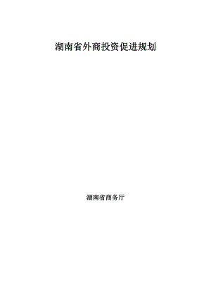 湖南省外商投资促进规划.docx