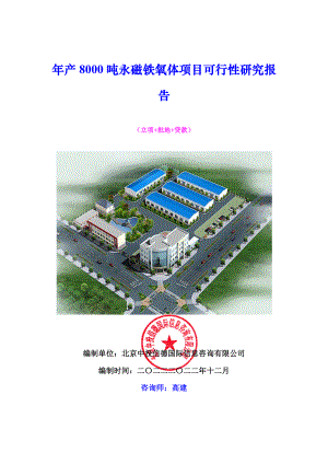 年产8000吨永磁铁氧体项目可行性研究报告.docx