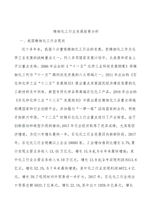 精细化工行业发展前景分析.docx