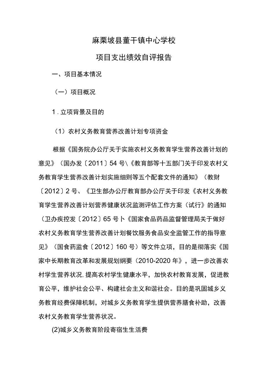 麻栗坡县董干镇中心学校项目支出绩效自评报告.docx_第1页