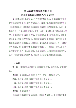 神新公司安全质量标准化考核评分办法(审核稿).docx