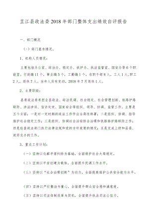 芷江县政法委2018年部门整体支出绩效自评报告.docx