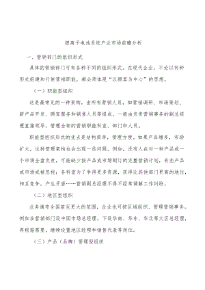 锂离子电池系统产业市场前瞻分析.docx