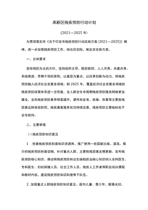 高新区残疾预防行动计划.docx