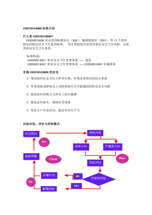 OHSMS18000全过程咨询流程DOC28(1).docx