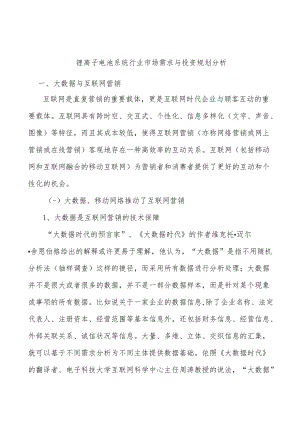 锂离子电池系统行业市场需求与投资规划分析.docx