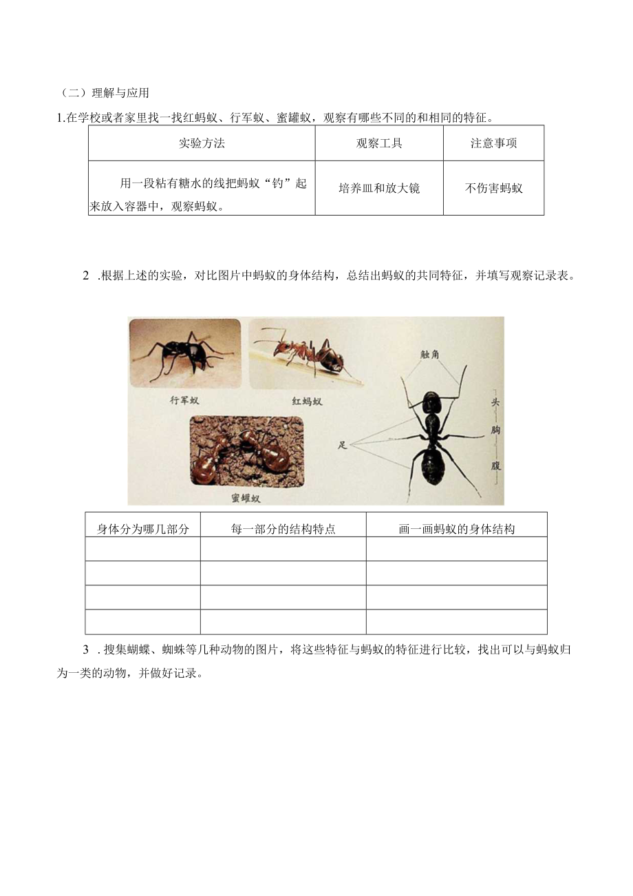 自编学案蚂蚁.docx_第2页