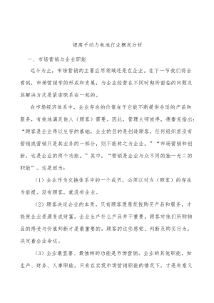 锂离子动力电池行业概况分析.docx