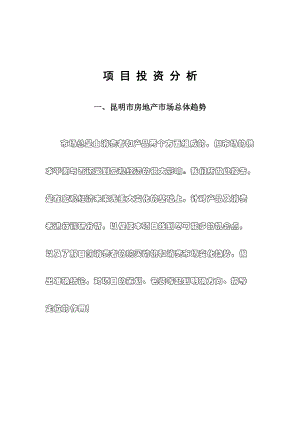 1.项目投资分析.docx