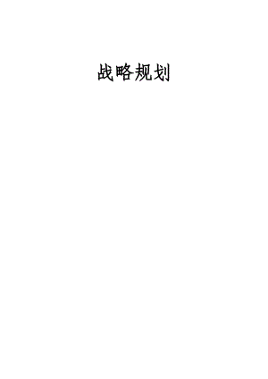 战略规划全过程.docx