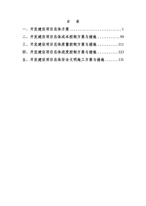 PPP项目开发方案.docx