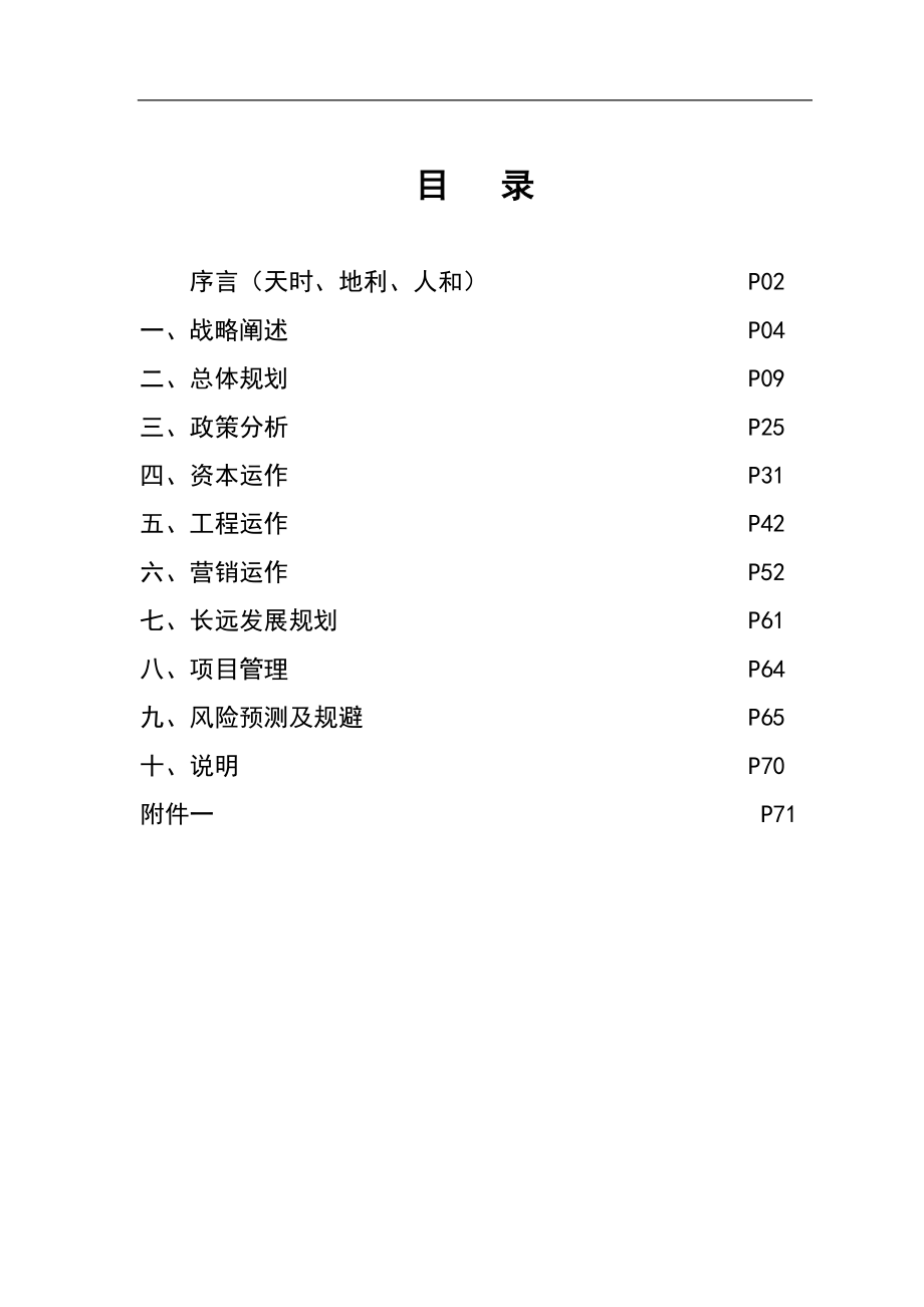 南某汽车城项目运作方案提纲--leonszjx.docx_第1页