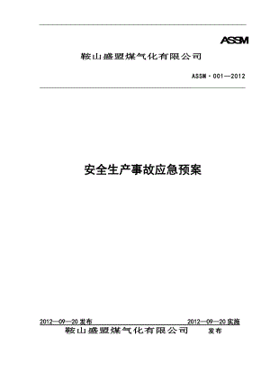 煤气化有限公司安全生产事故应急预案.docx