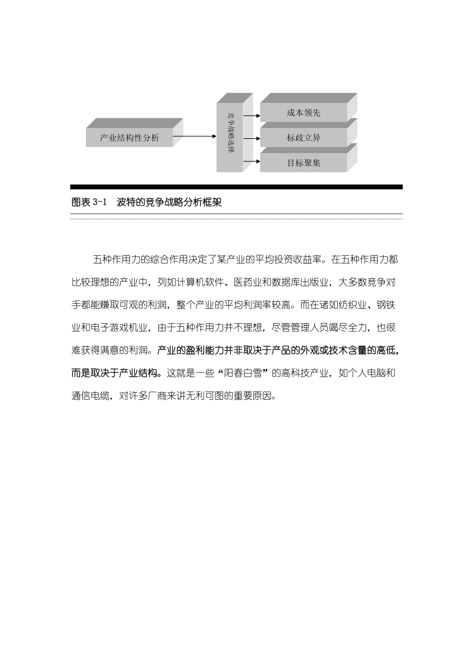 公司战略--理论与策划方案研讨.docx_第3页