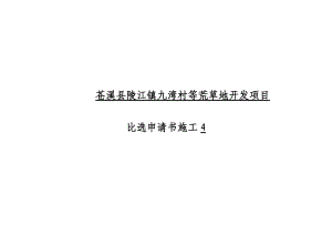 开发项目比选申请书.docx