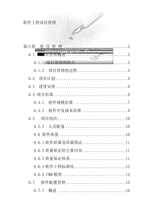 软件项目管理的组织与过程.docx