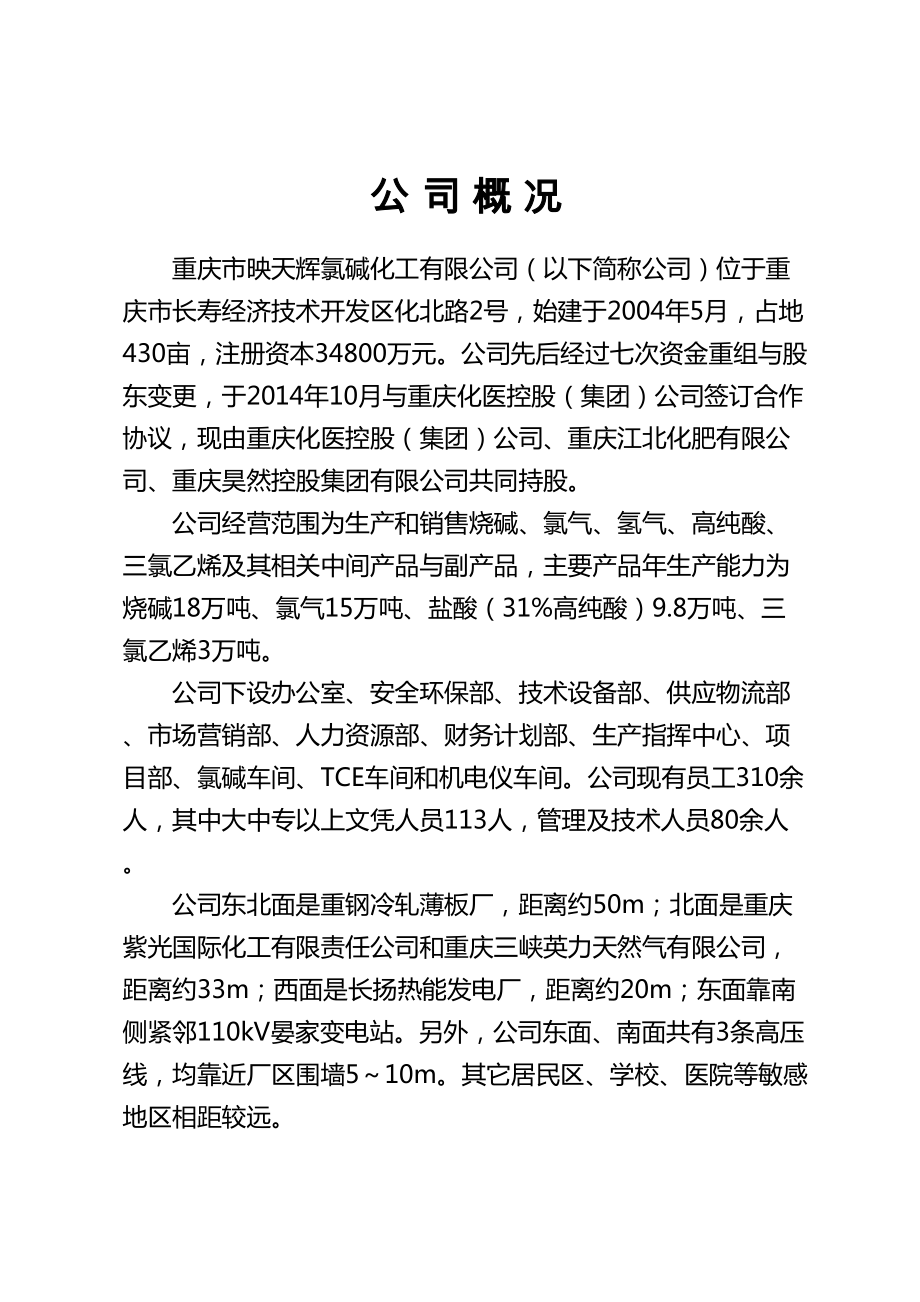 某氯碱化工有限公司生产安全事故综合应急预案.docx_第2页