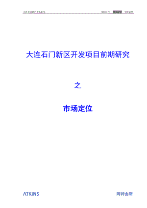 某新区开发项目前期研究之市场定位建议.docx