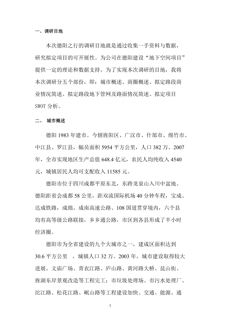 拟开发项目调研报告书.docx_第3页