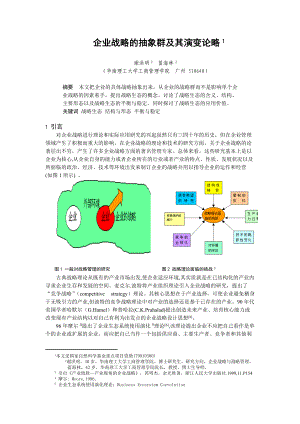 企业战略的抽象群与演变论略.docx