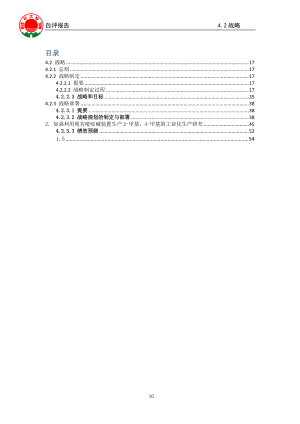 某公司战略报告(DOC 40页).docx