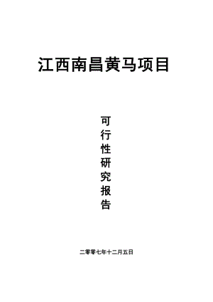 南昌黄马项目可行性研究报告改.docx