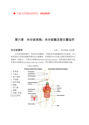 内分泌腺及荷尔蒙运作内分泌器官.docx