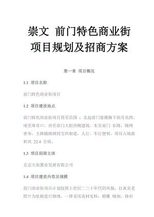 某特色商业街项目规划.docx