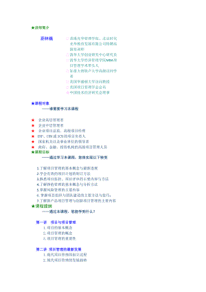 B03成功的项目管理.docx