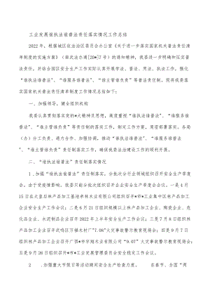 工业发展谁执法谁普法责任落实情况工作总结.docx