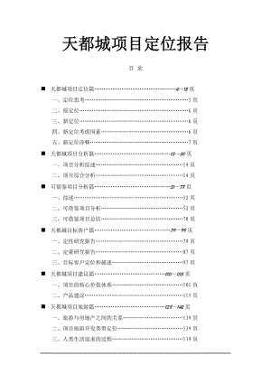 天都城项目定位报告doc150(1).docx