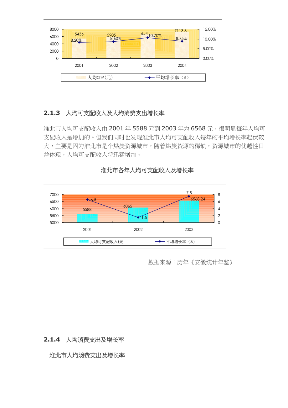 淮北项目可行性分析报告.docx_第3页