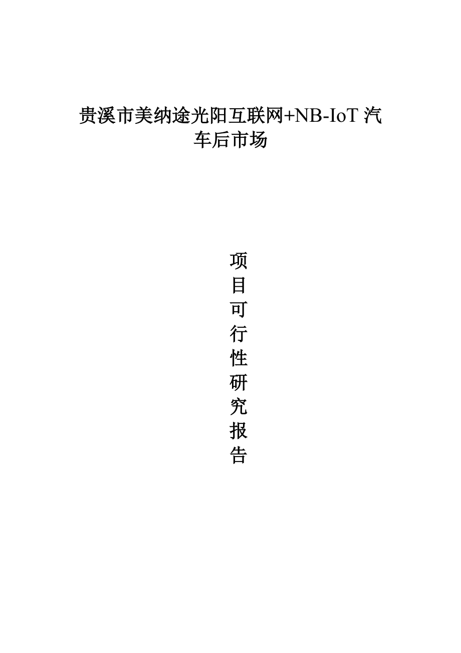 汽车后市场项目可行性研究报告.docx_第1页