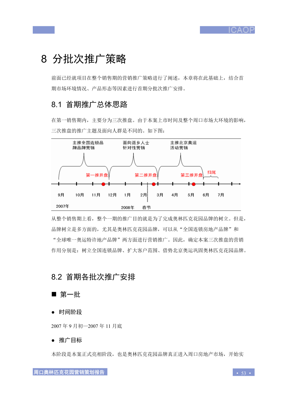 8.分批次推广策略.docx_第1页