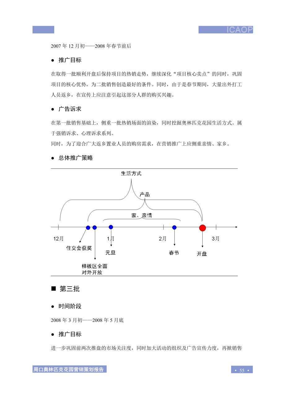 8.分批次推广策略.docx_第3页