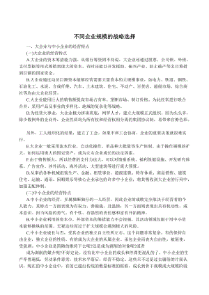 不同企业规模的战略选择(DOC41页).doc