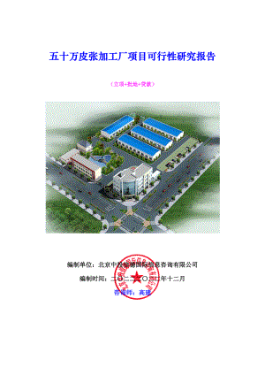 五十万皮张加工厂项目可行性研究报告.docx