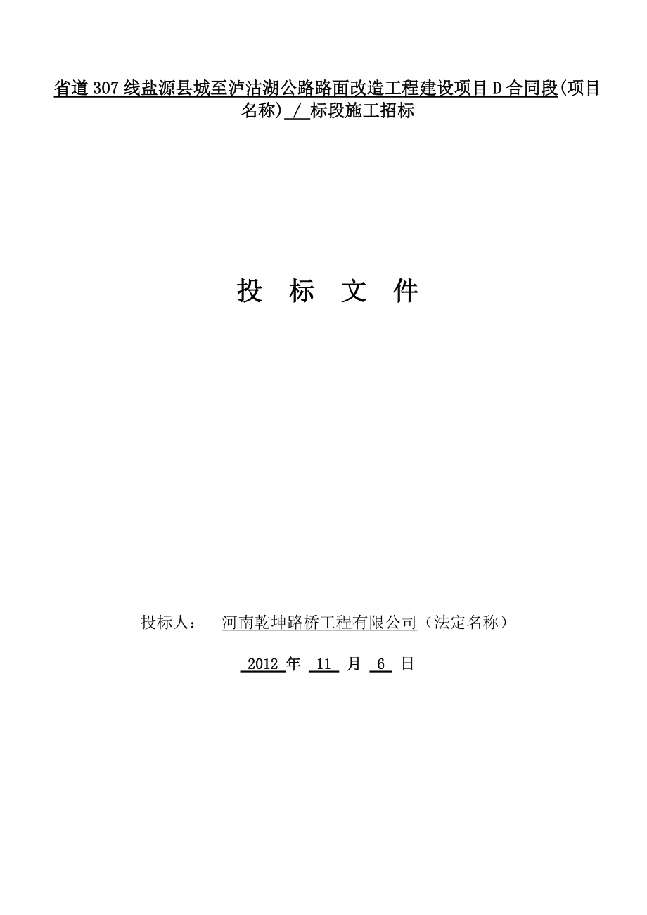 省道307线盐源县城至泸沽湖公路路面改造工程建设项目D.docx_第1页