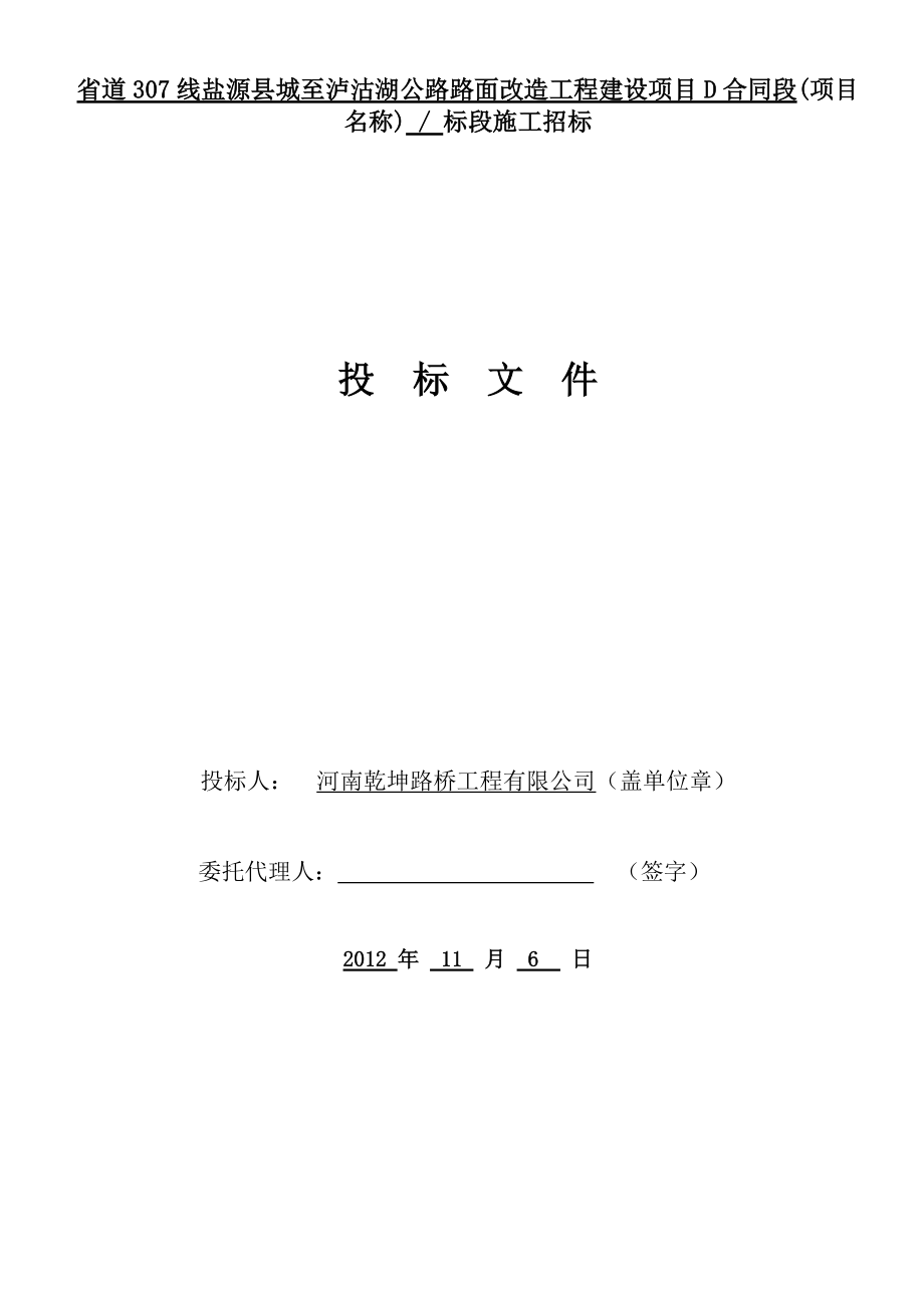 省道307线盐源县城至泸沽湖公路路面改造工程建设项目D.docx_第2页