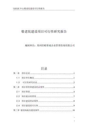 敬老院建设项目可研报告怎么写.docx