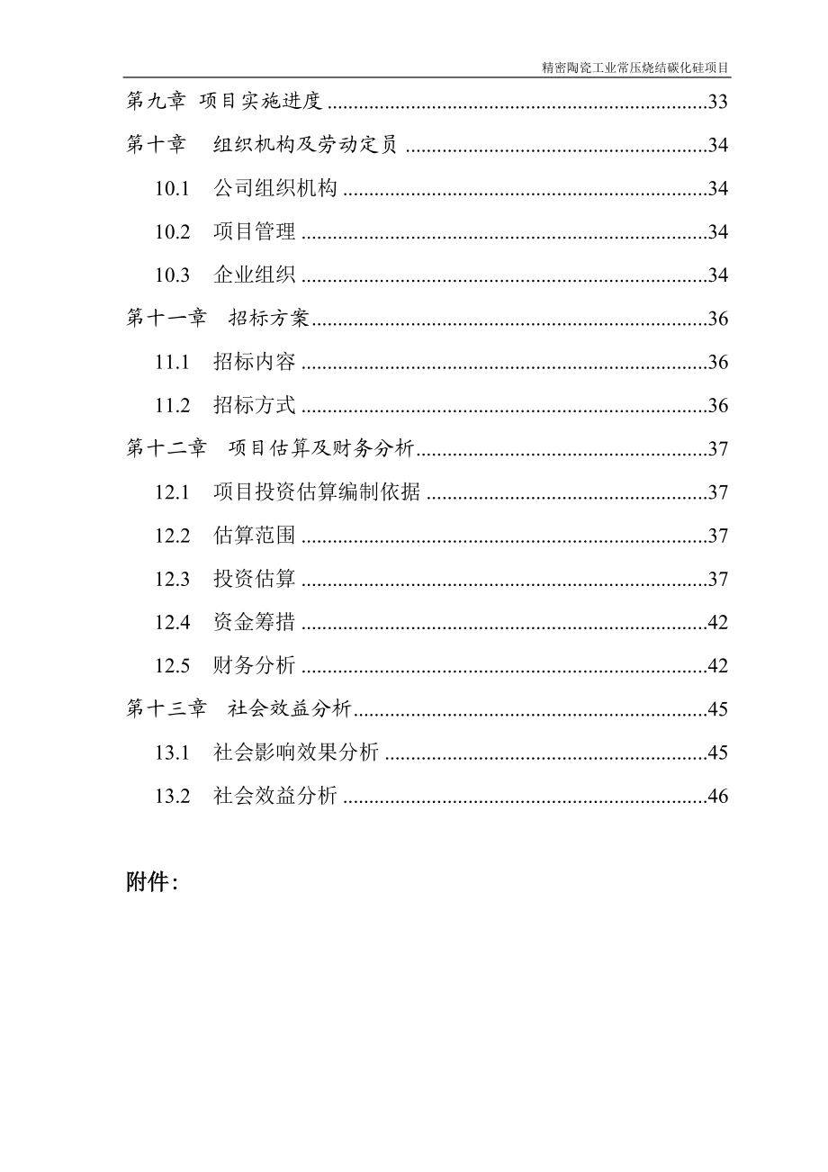 精密陶瓷工业常压烧结碳化硅项目报告.docx_第3页