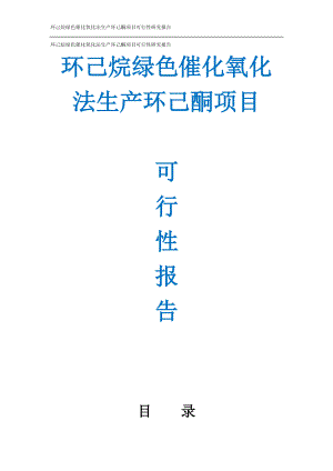 47页环己烷绿色催化氧化法生产环己酮项目可行性研究报告.docx