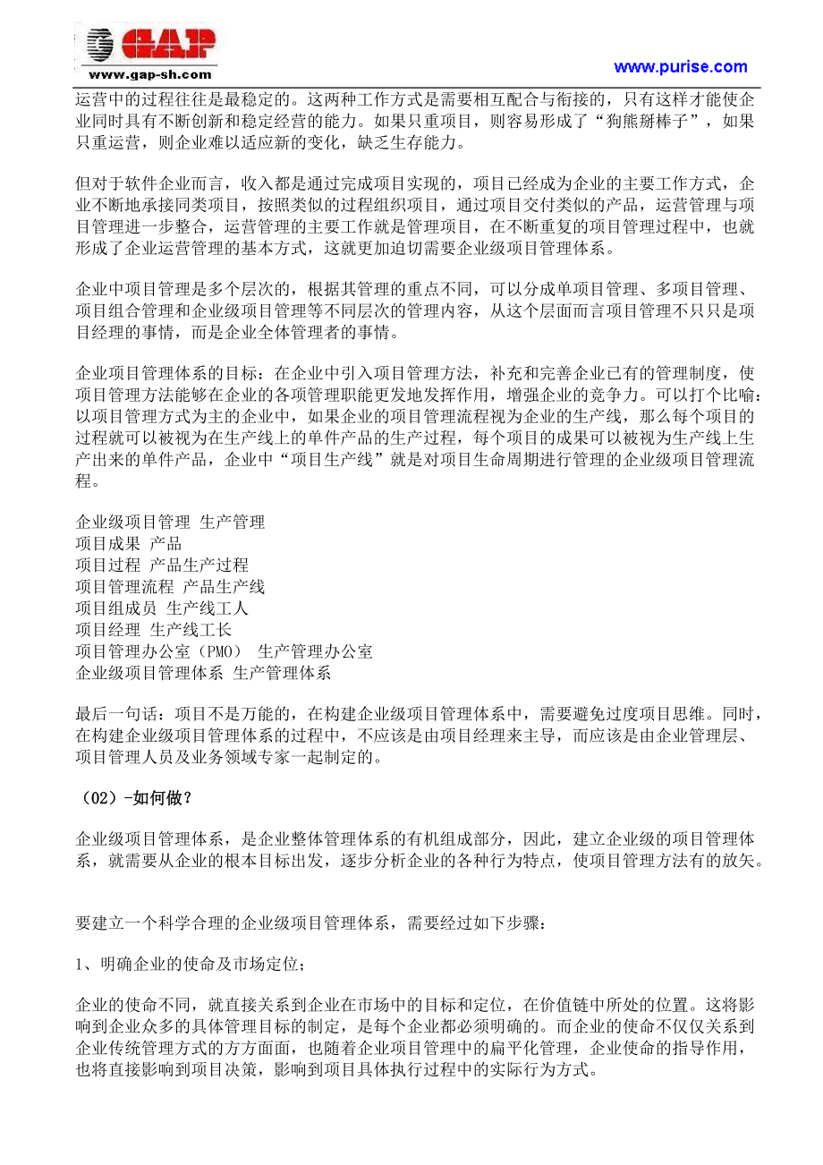 怎样构建企业级项目管理体系.docx_第2页