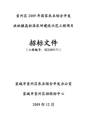 标准农田建设示范工程项目招标文件.docx