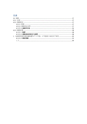 红太阳战略报告.docx