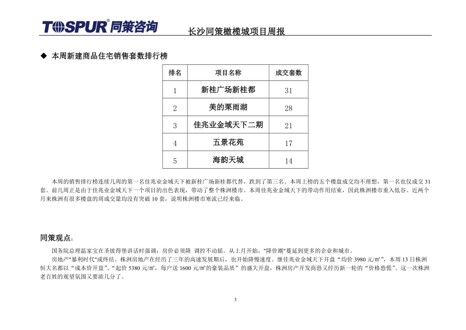 同策株洲项目市场报告.docx_第3页